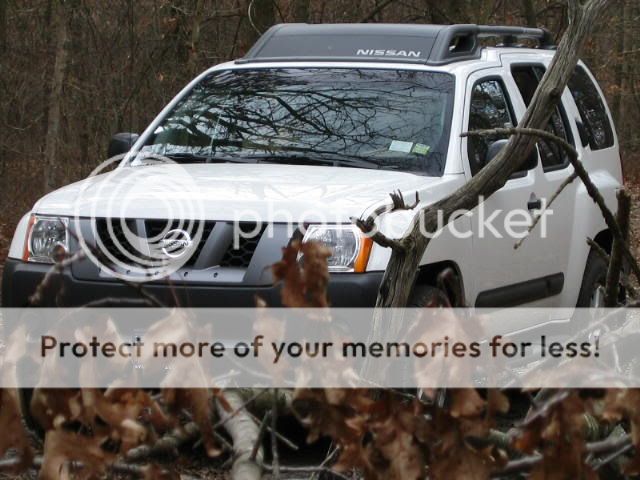 X.jpg
