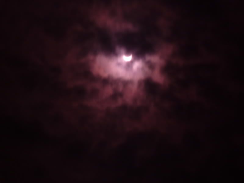 P1000343.jpg