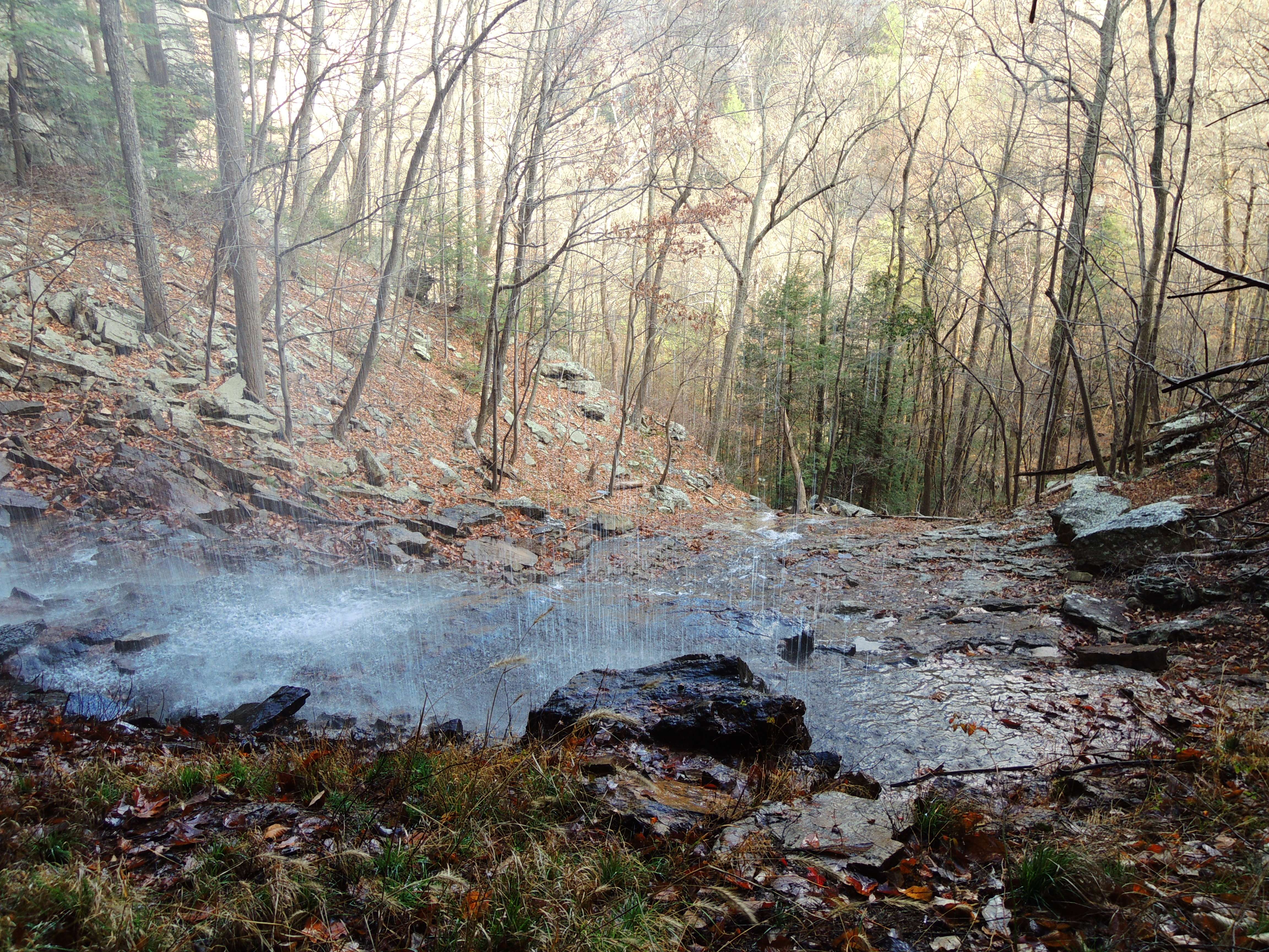 dscn4189sf.jpg
