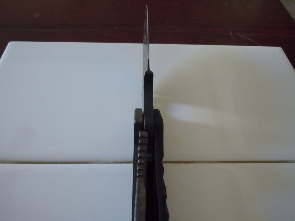 DSCN0530.jpg