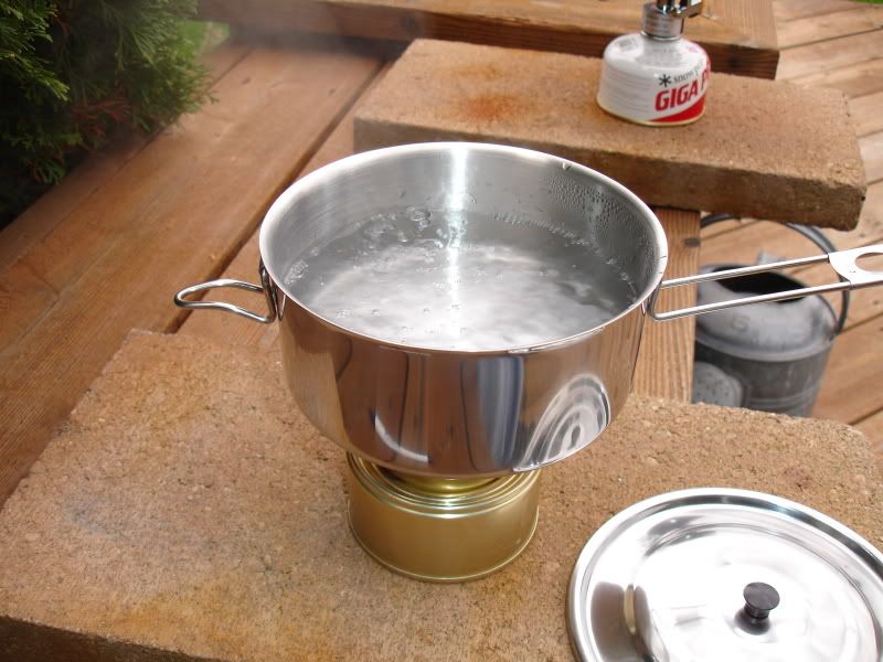 CatBoil.jpg