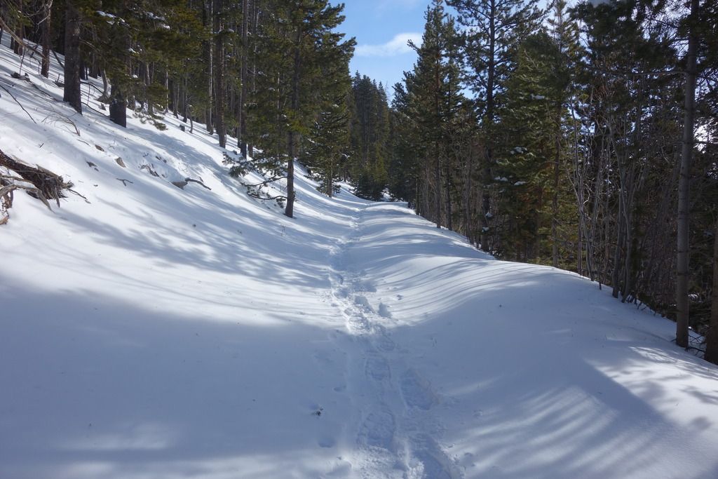 DSC02491_zpslwjrrqoe.jpg
