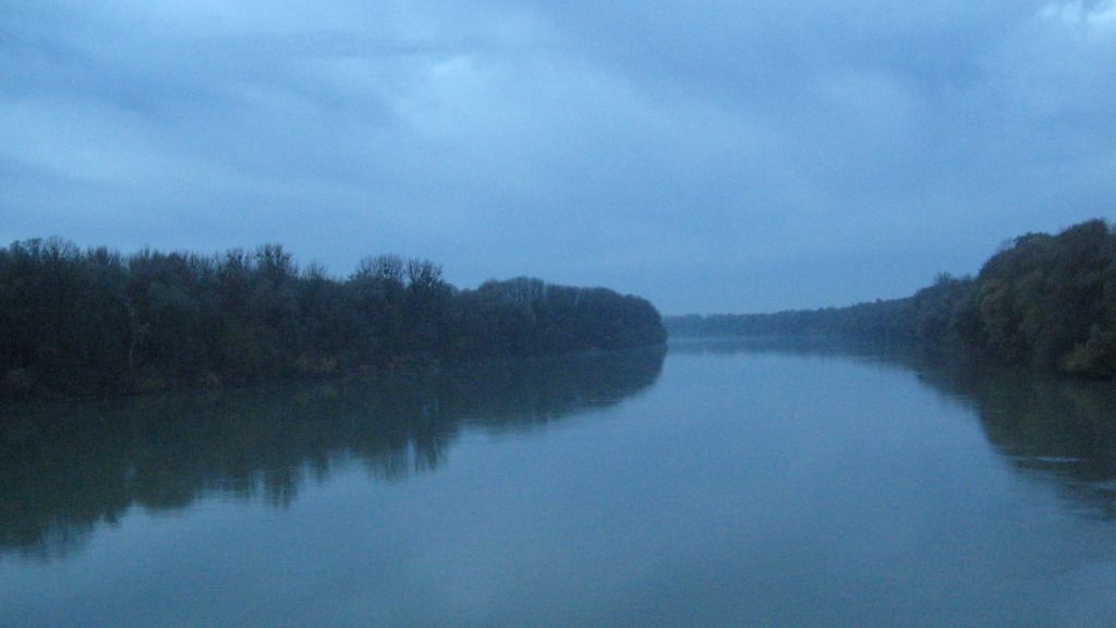 IMG_2247.jpg