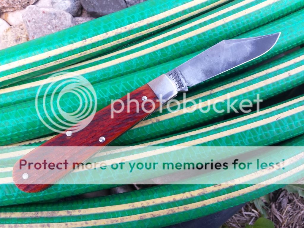 20140713_134959_zpsvkglpl8x.jpg