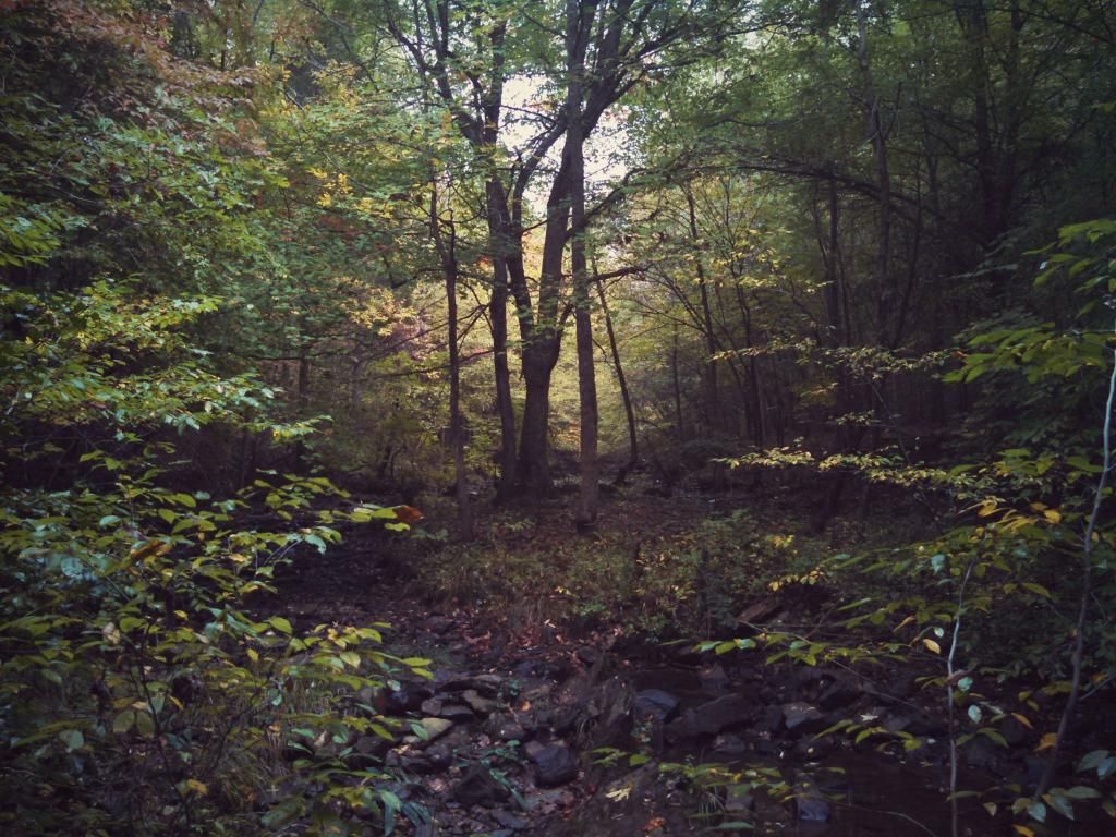 IMG_20141013_113516_8612.jpg