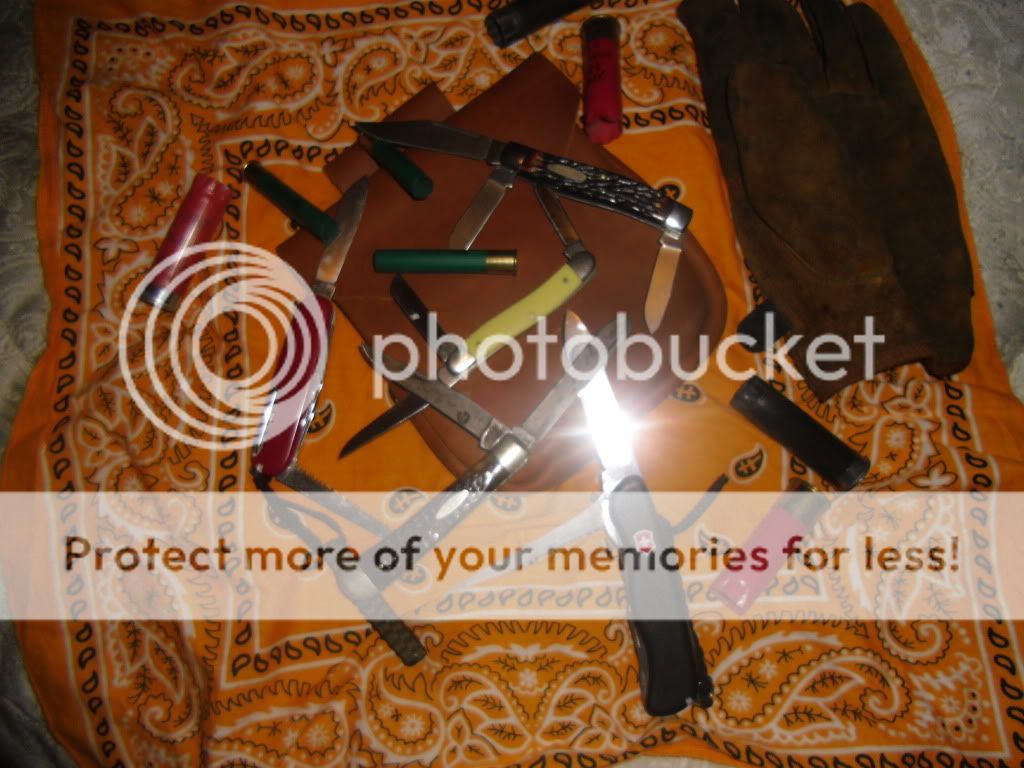 PICT0003-55.jpg