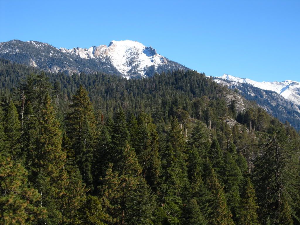 IMG_3400.jpg