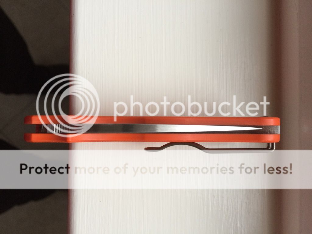 E1F5709C-1BA9-4D3F-9AA0-F8A3E8368AD7_zpslh9lfrt1.jpg