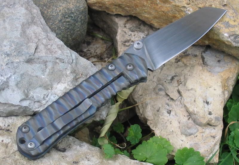 TigerstripedSebenza3.jpg