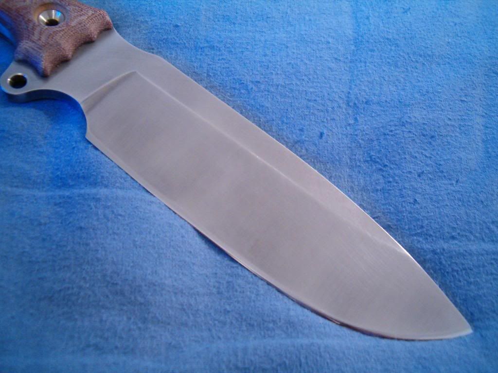 sfno4.jpg