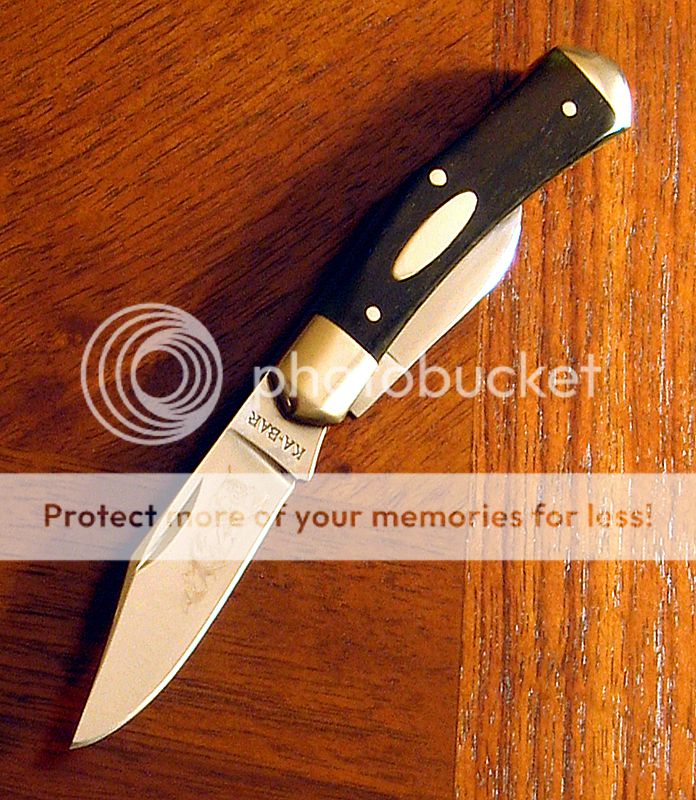 IMG_2079copy_zps64a4f87e.jpg