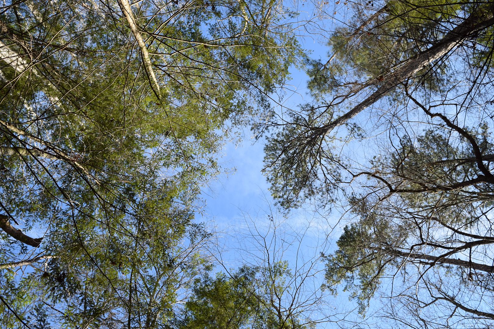 DSC_0047_zpsztan2jg3.jpg
