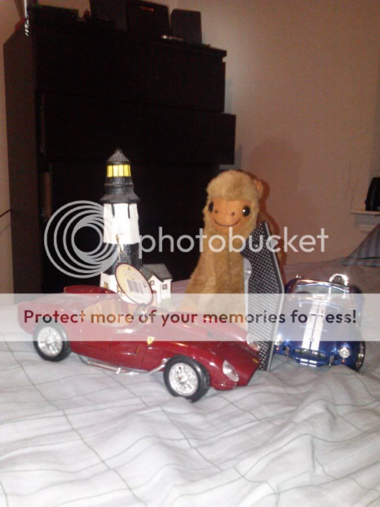 CAM00453_zps88ccbd32.jpg