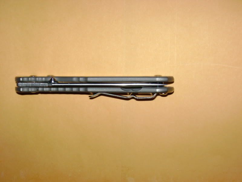 DSC01489.jpg