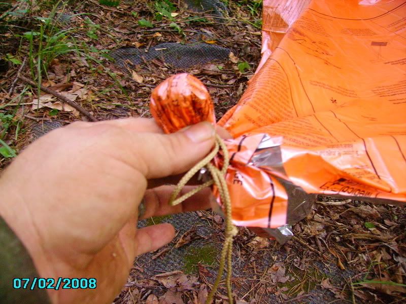 PICT0747.jpg