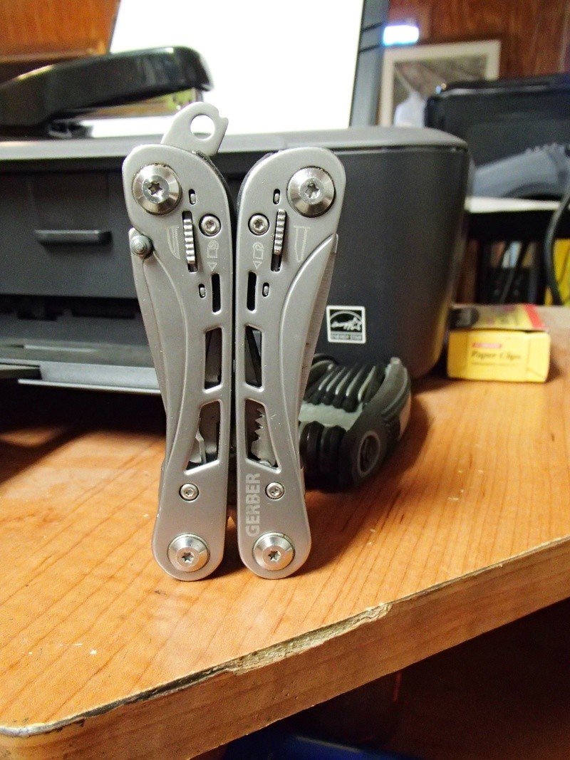 p4110910.jpg