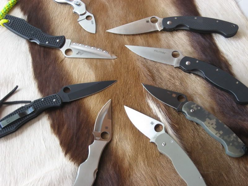 Spyders006.jpg