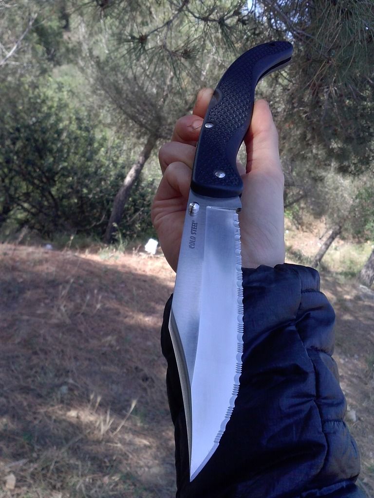 CAM01827_zpsiowvzcbp.jpg