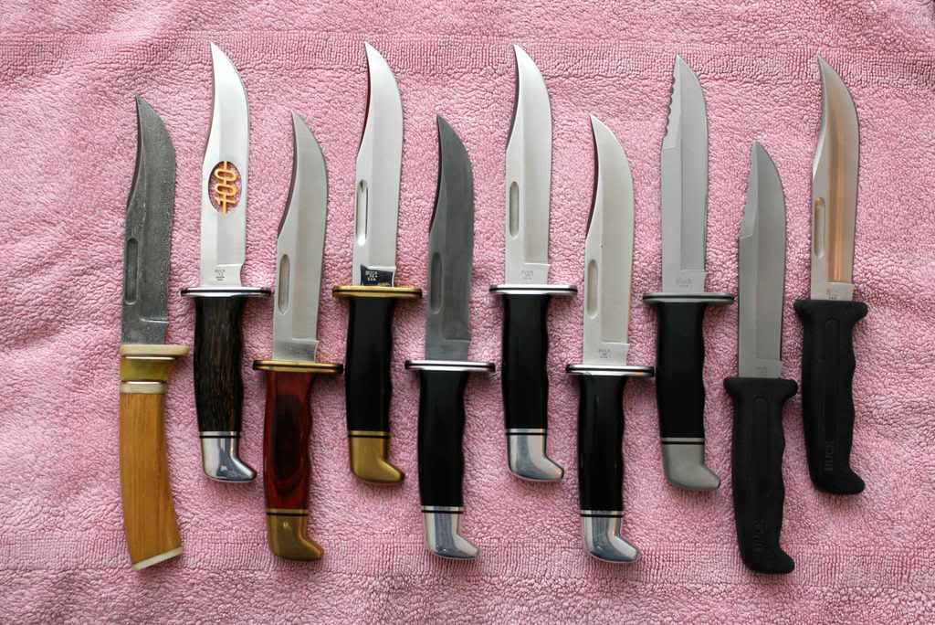 Buck119alle.jpg
