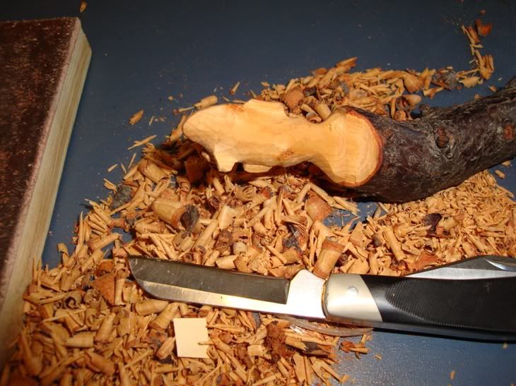 StickWhittling2.jpg