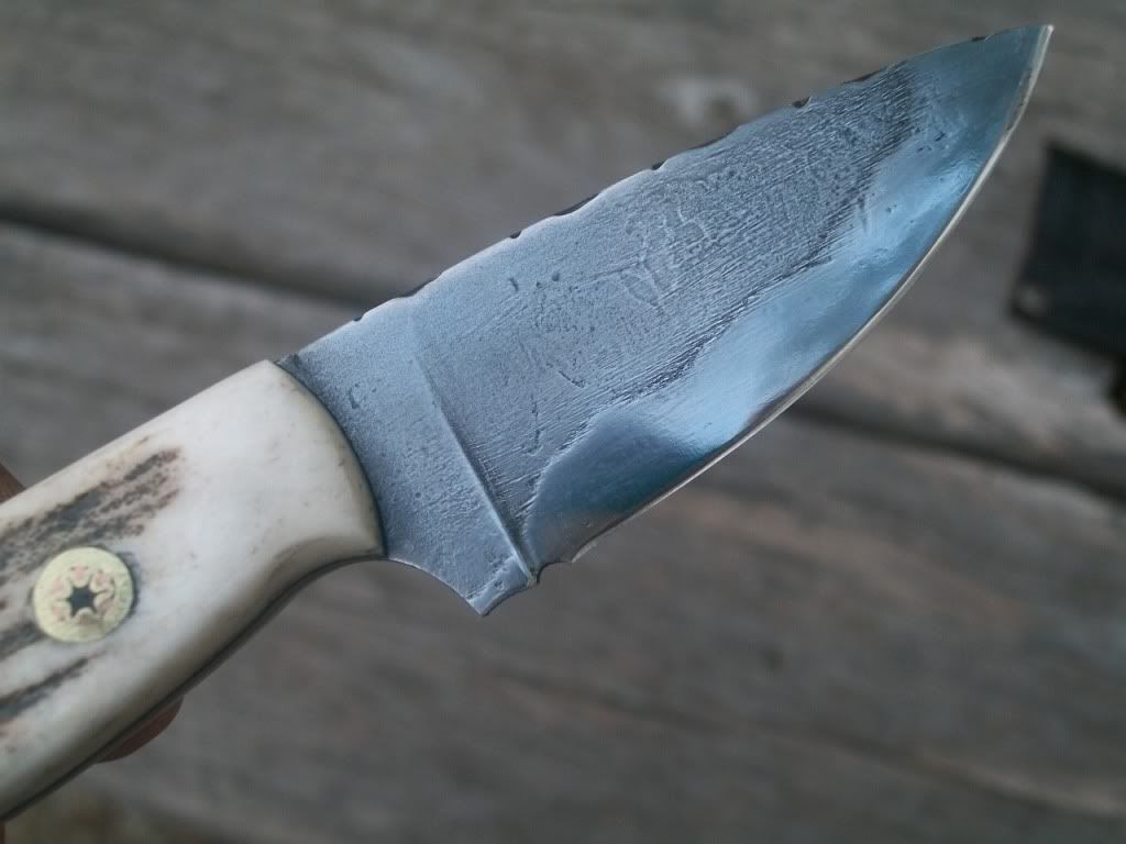 little1095017.jpg