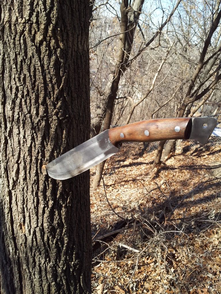 20120212_144501.jpg