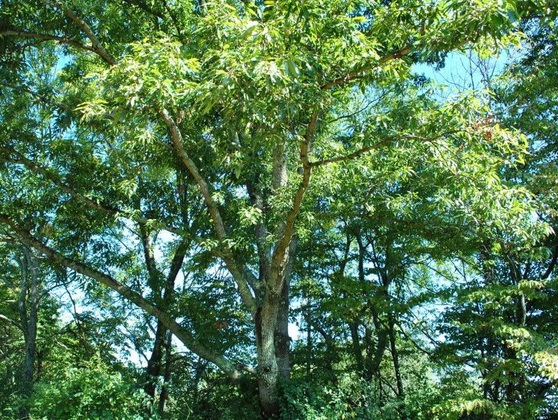 DSC_3575.jpg