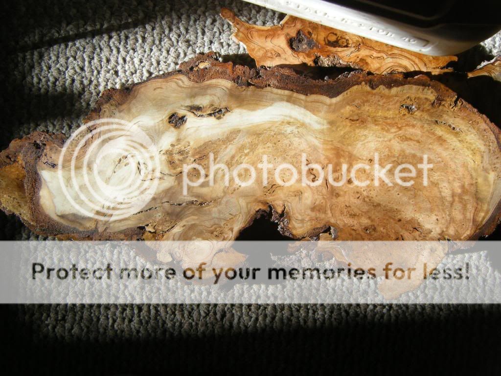 burl002.jpg