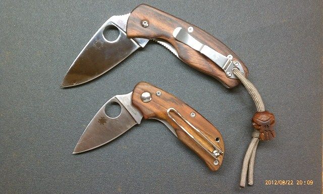SpydercoCocoAlt3.jpg