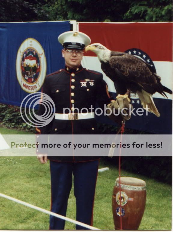 eagle.jpg