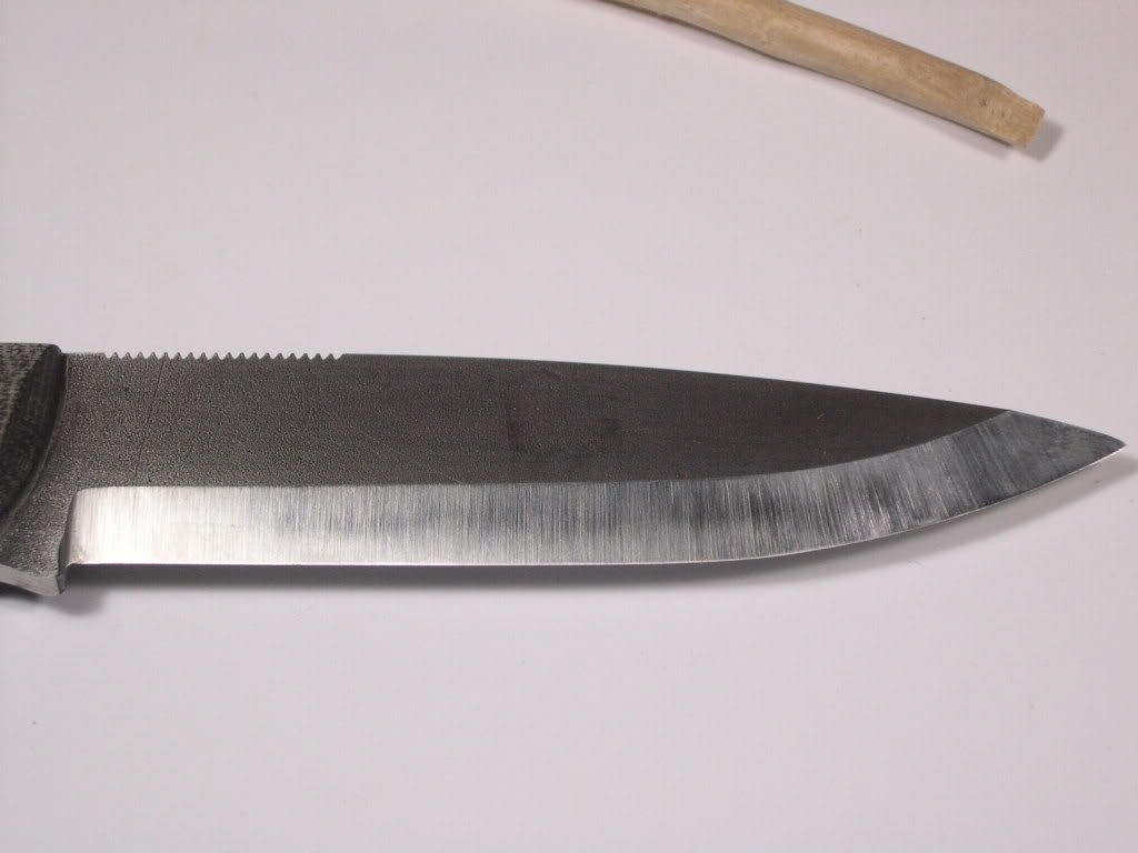 DSCN2373.jpg