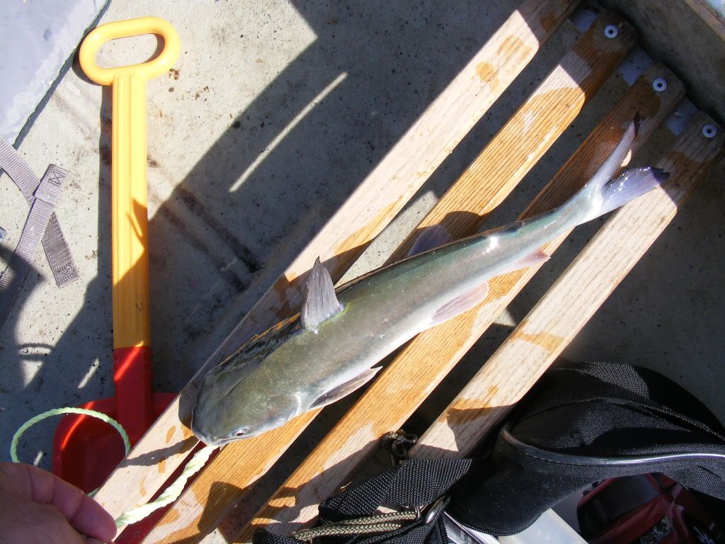 march2009020.jpg