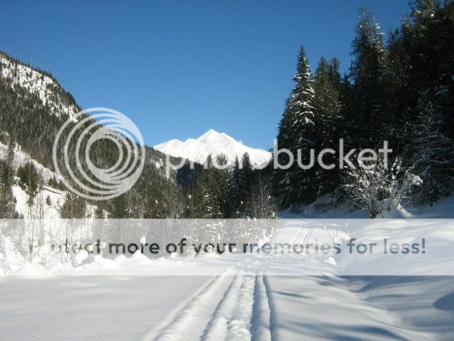 IMG_2768.jpg