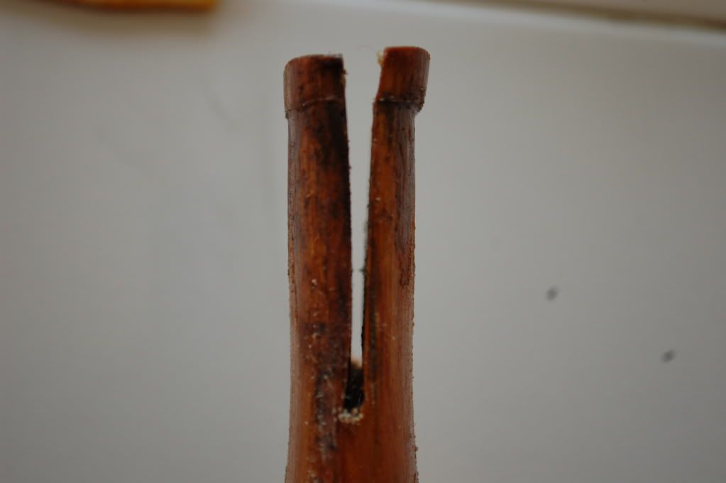 DSC_3766.jpg