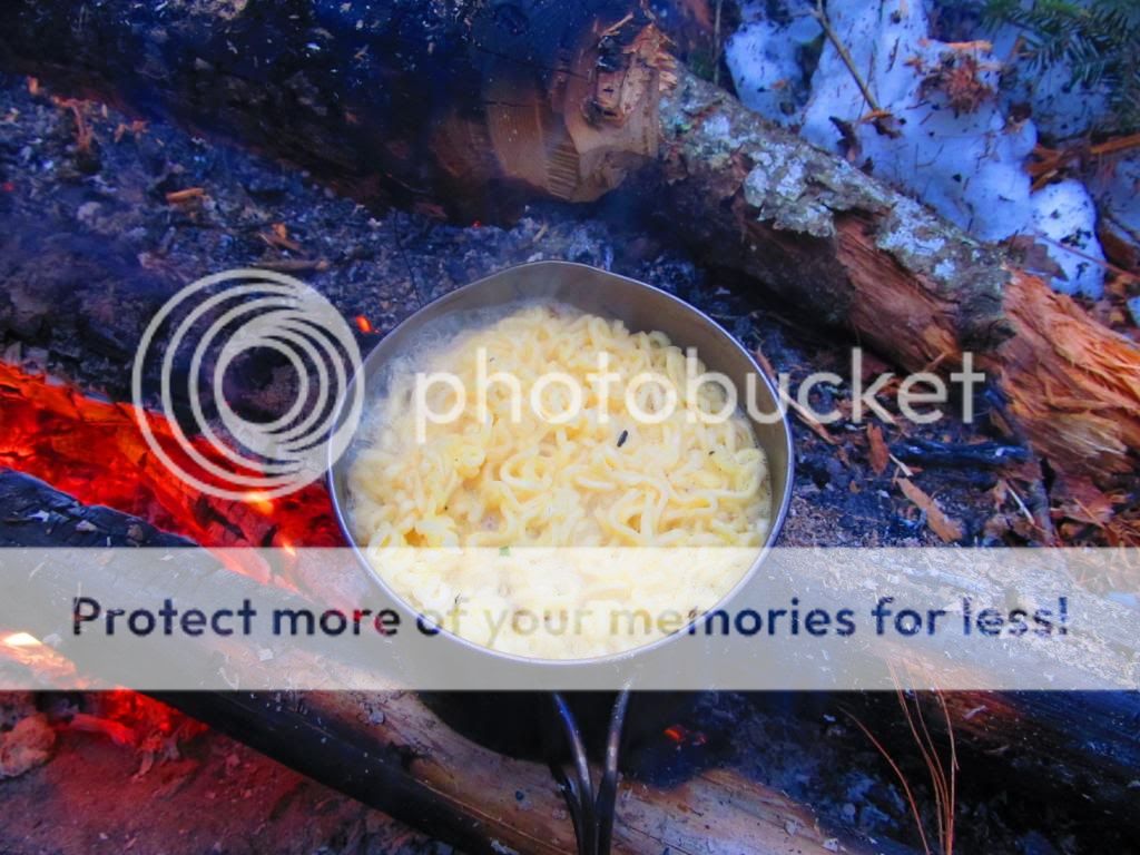 IMG_2383_zps90d8204e.jpg