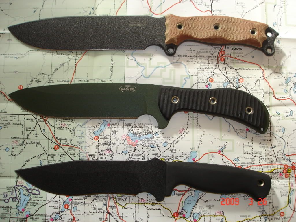 BUSSE003.jpg