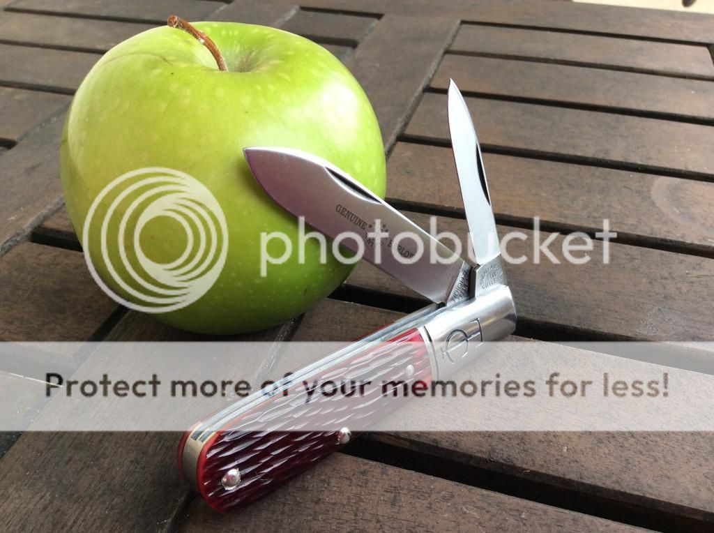 image_zps037fa51f.jpg