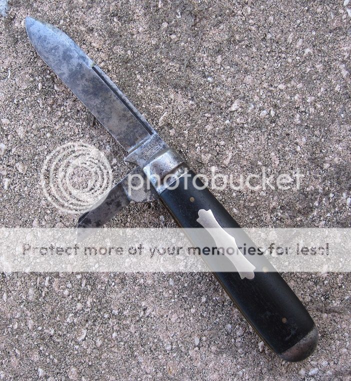 IMG_3800_zpsrftkh1ew.jpg~original