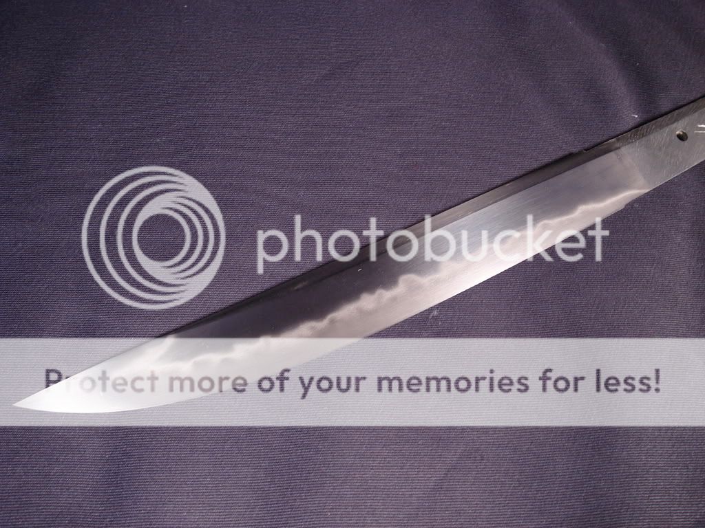 DSC03286.jpg