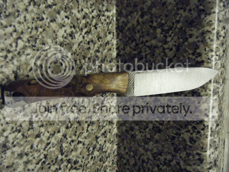 DSCF2225.jpg