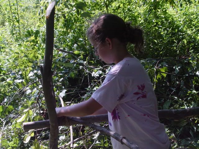 DSC01693.jpg