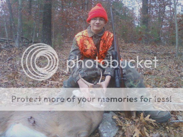 austindeer.jpg