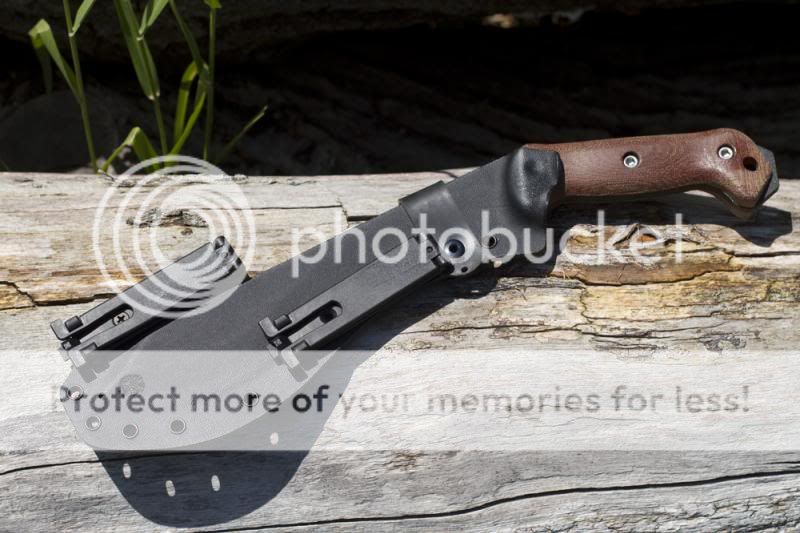 BK4AZ3_zps79b98613.jpg