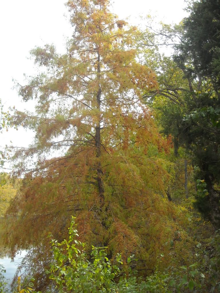 DSCN1242.jpg