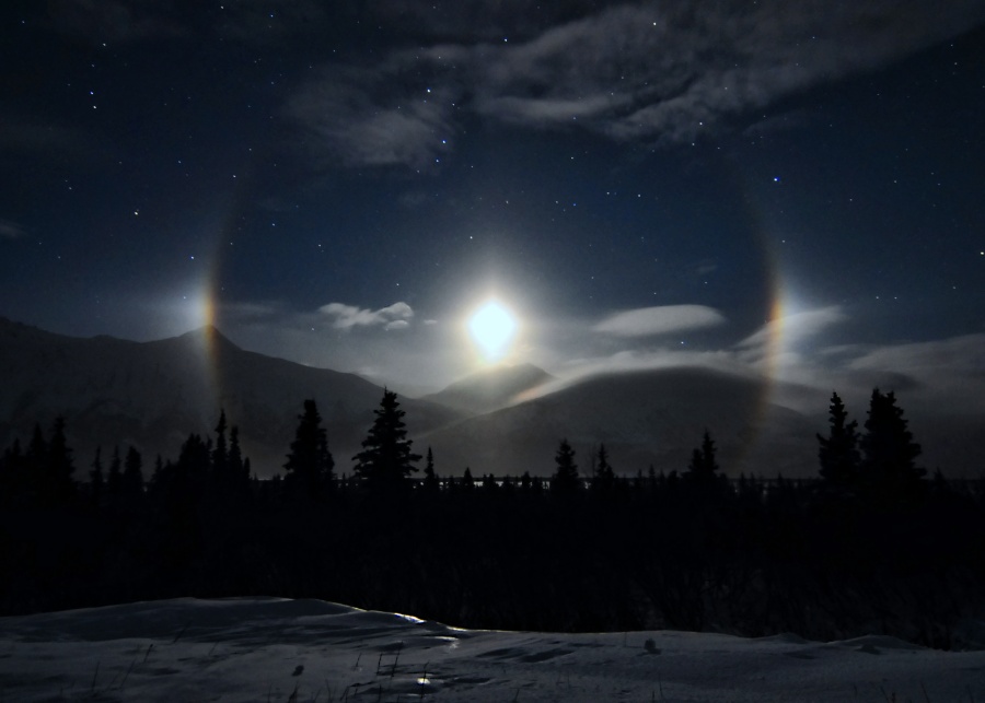 moondog_saarloos900.jpg
