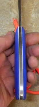 blueheavydptutoneseminoledp012.jpg