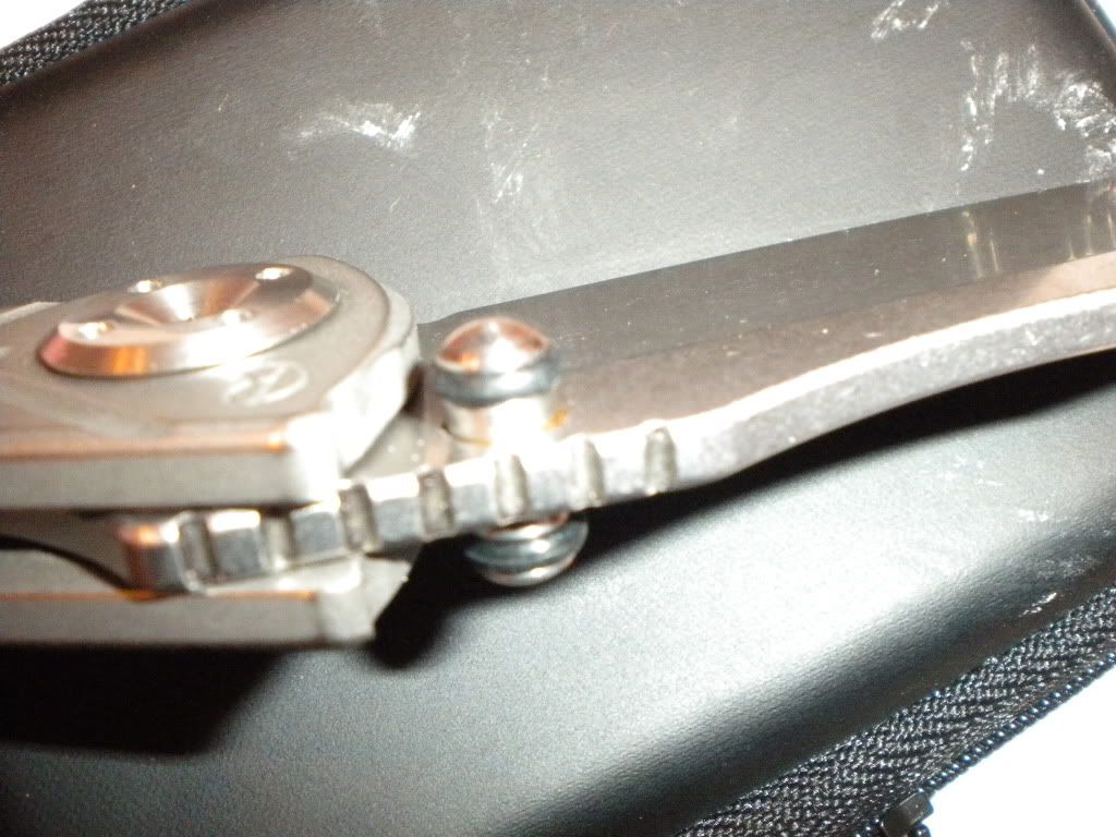 DSCN0090.jpg
