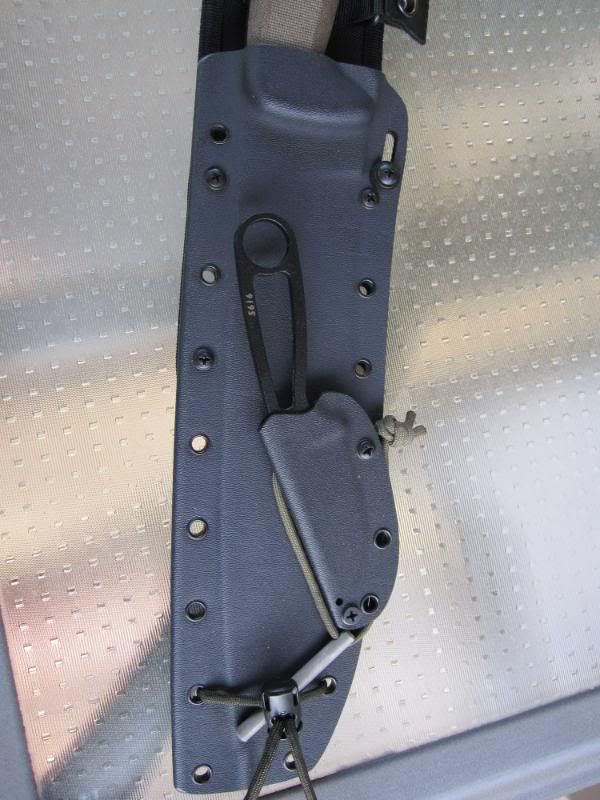 junglassheath1.jpg