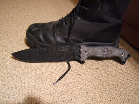 HOGFSH022.jpg
