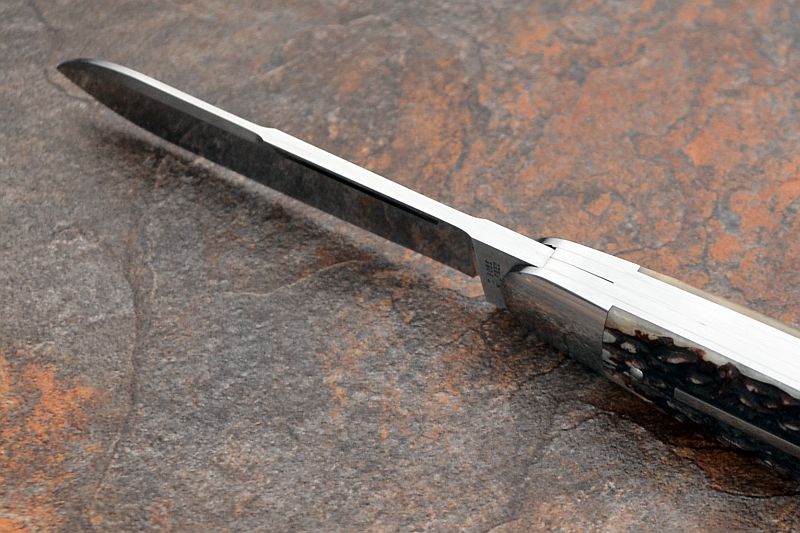 tbose-458staganglosaxonwhittler1-4.jpg